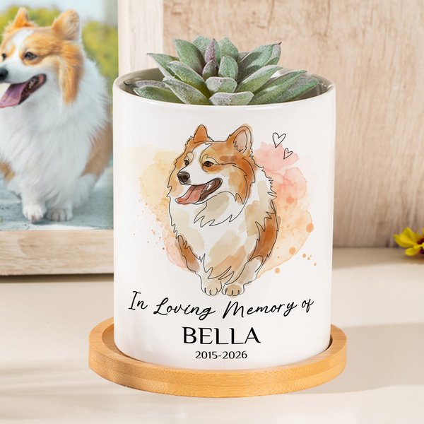 Personalised Watercolor Pet Photo Heart Succulent Planter Pot with Name and Bamboo Tray Home Decor Memorial Gift for Cat Dog Pet Owner