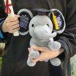 Gepersonaliseerd Olifant Bewaar Speelgoed met Voorletter Naam Jaar Klas van 2026 School Grad Gift voor Afgestudeerden