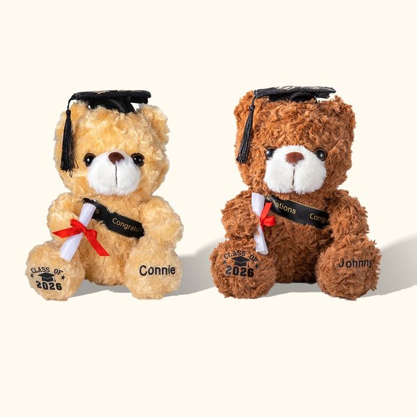 Personalisierte Niedlichen Plüsch Teddybär Spielzeug mit Namen Schule Abzeichen Schulabschluss Geschenk für Absolventen