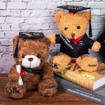 Gepersonaliseerd schattig pluche teddybeer speelgoed met school badge naam en school afstuderen Gift