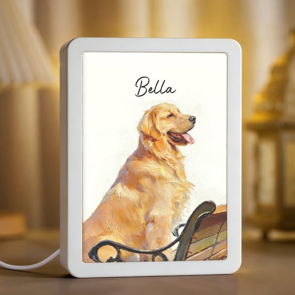 Personalized Oil Painting Style LED Photo Frame Mirror with Name Memorial Sympathy Gift for Pet Owners
