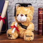 Gepersonaliseerd schattig pluche teddybeer speelgoed met school badge naam en school afstuderen Gift