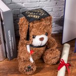 Gepersonaliseerd schattig pluche teddybeer speelgoed met school badge naam en school afstuderen Gift