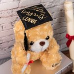 Gepersonaliseerd schattig pluche teddybeer speelgoed met school badge naam en school afstuderen Gift