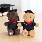 Personalisierter Niedlicher Absolventenhut Plüsch Teddybär mit Namen und Uni-Wappen Schule Abschluss Geschenk für Kinder Absolventen der Klasse 2026