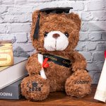 Gepersonaliseerd schattig pluche teddybeer speelgoed met school badge naam en school afstuderen Gift