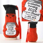 Gepersonaliseerde Leuke Kwast Grad Cap Pompoen Aardappel Avocado Handgemaakte Gehaakte Pop met Naam en Jaar Desktop Decor Afstudeerfeest Cadeau voor Afgestudeerden