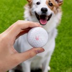 Personalizzato Avatar faccia foto timbro palla da golf identificazione palla Mark Compleanno Club regalo di formazione per i giocatori di golf appassionati