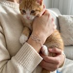 Personalised Mobius Infinity Cat Heart Shaped Bracelet with Name Elegant Jewellery Daily Wear Birthday Anniversary Gift for Cat Lovers