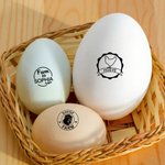 Gepersonaliseerde Eierstempel met Kippensilhouet Tekst en Jaar met Voedselveilige Inkt Verjaardagscadeau voor Familie Boer of Pluimveehouder