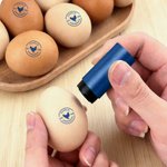 Gepersonaliseerde Eierstempel met Kippensilhouet Tekst en Jaar met Voedselveilige Inkt Verjaardagscadeau voor Familie Boer of Pluimveehouder