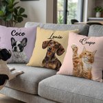 Personalized Cute Pet Photo Multi-Colour Imitation Embroidery Effect Throw Pillow Cover with Name Home Decor Birthday Gift for Pet Lovers