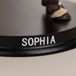 Personalised Cute 3D Photo Horse Riding Figurine with Name Desktop Decoration Birthday Gift for Equestrian Lovers