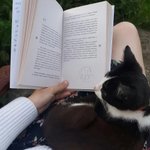 Mond, Katze, Bücher | Personalisierter Prägestempel mit Text und Namen | Prägesiegel wählbar | Geburtstag Geschenk für Buch- und Katzenliebhaber