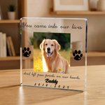 Henkilökohtainen Koira Kissa Tassu Lemmikki Photo Kirkas akryyli plaketti nimi ja aika Home Decor Memorial Pet Loss sympatia lahja lemmikkieläinten omistajille