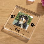Henkilökohtainen Koira Kissa Tassu Lemmikki Photo Kirkas akryyli plaketti nimi ja aika Home Decor Memorial Pet Loss sympatia lahja lemmikkieläinten omistajille