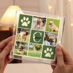 Plaque Acrylique Personnalisée avec Nom et Initiale Décoration Maison Anniversaire Cadeau d'Anniversaire pour Chat Chien Propriétaires