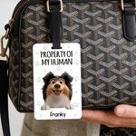 Personalized Property of My Human Cute Cartoon Pet Luggage Tag with Name Travel Accessories Birthday Gift for Pet Owners Travel Lovers