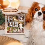 Plaque Acrylique Personnalisée avec Nom et Initiale Décoration Maison Anniversaire Cadeau d'Anniversaire pour Chat Chien Propriétaires