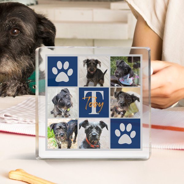 Plaque Acrylique Personnalisée avec Nom et Initiale Décoration Maison Anniversaire Cadeau d'Anniversaire pour Chat Chien Propriétaires