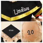 Personalized Cute Graduation Teddy Bear Plush Toy with Name Year and School Name Graduation Gift for Graduates