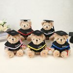 Personalized Cute Graduation Teddy Bear Plush Toy with Name Year and School Name Graduation Gift for Graduates