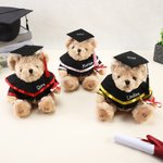 Personalized Cute Graduation Teddy Bear Plush Toy with Name Year and School Name Graduation Gift for Graduates