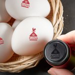 Un sello único para un huevo especial - Sello de huevos personalizado de tinta con nombre texto y año regalo de cumpleaños para familia o criadores