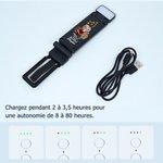 Lampe de poche LED rechargeable personnalisée avec nom et personnage cartoon - Cadeau d'anniversaire pour les amoureux de lecture