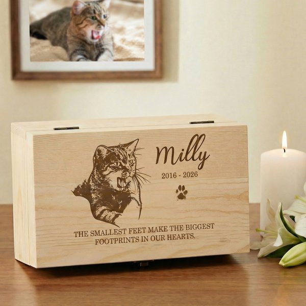 Caja de madera personalizada con el nombre y el año de la pérdida de la mascota Regalo conmemorativo para los dueños de mascotas