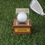 Personalised Golf Ball Display Stand with Text Home Decor Game Day Gift for Golf Enthusiasts