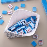 Personalized Chinoiserie Mahjong Tiles Pouch Makeup Bag with Text Travel Accessory Birthday Gift for Mahjong Lovers