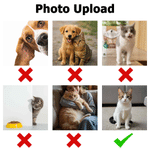 Personalized Pet Photo Magnetic Hat Clip Golf Ball Marker with Name Birthday Game Day Anniversary Gift for Golf Lovers Pet Lovers