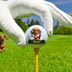 Personlig söt tecknad husdjurskaraktär Foto Golfboll med namn Födelsedag Jubileum Game Day Present för golfälskare