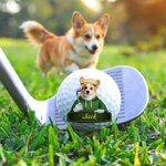 Personlig söt tecknad husdjurskaraktär Foto Golfboll med namn Födelsedag Jubileum Game Day Present för golfälskare