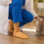 Spersonalizowane miękkie skarpetki do połowy łydki Cute Cat Stethoscope Pet Cage Bone Pattern z imieniem Codzienne noszenie Zabawny piątkowy prezent dla weterynarzy