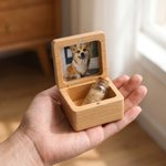 Personlig 3D-katt hund avatar kjæledyr foto tre oppbevaringsboks med gravert navn tekst og glassflaske minne bursdag sympati gave for tap av kjæledyr