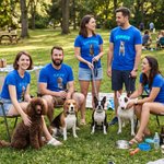Personalized Pet Photo Multicolor Adult T-shirt Sweatshirt with Name Daily Wear Pet Party Birthday Gift for Pet Owner Lover