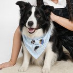 Personalised A Day in the Life of a Pet Funny Photo Illustration Multicolour Soft Pet Bandana with Name Daily Use Birthday Pet Party Gift for Pet