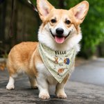 Personalised A Day in the Life of a Pet Funny Photo Illustration Multicolour Soft Pet Bandana with Name Daily Use Birthday Pet Party Gift for Pet