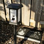 Forever in My Heart - Personalised Rainbow Bridge Pet Memorial Solar Light with Photo Name & Date Memorial Gift for Beloved Pet