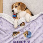 Spielen Schlafen Stinker | Personalisierte Samt-Haustierdecke mit Ihrem Haustiermotiv und Namen | Geburtstag Geschenk für Hunde- und Katzenbesitzer