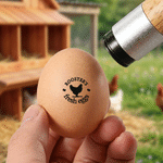 Sello de huevo personalizado con silueta de gallina Etiqueta de seguridad para huevos de granja con cuadro de texto y tinta de calidad alimentaria Regalo de cumpleaños para familia Granjero Criador