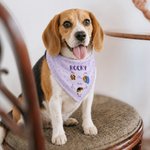 Personalised A Day in the Life of a Pet Funny Photo Illustration Multicolour Soft Pet Bandana with Name Daily Use Birthday Pet Party Gift for Pet