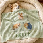 Spielen Schlafen Stinker | Personalisierte Samt-Haustierdecke mit Ihrem Haustiermotiv und Namen | Geburtstag Geschenk für Hunde- und Katzenbesitzer