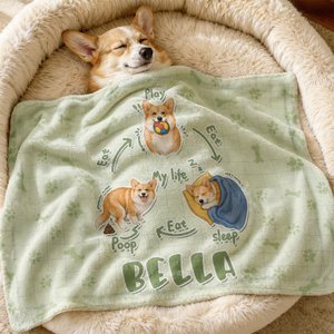 Spielen Schlafen Stinker | Personalisierte Samt-Haustierdecke mit Ihrem Haustiermotiv und Namen | Geburtstag Geschenk für Hunde- und Katzenbesitzer