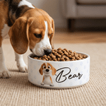 Personalized Paw Pattern Pet Portrait Ceramic Pet Bowl with Name Daily Use Birthday Gift for Pet Lovers Friends