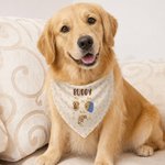 Personalised A Day in the Life of a Pet Funny Photo Illustration Multicolour Soft Pet Bandana with Name Daily Use Birthday Pet Party Gift for Pet