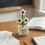 Personalised Adorable Succulent Flower Glass Plants with Name and Text Desk Office Shelf Decor Teachers' Day Birthday Gift for Mom Teacher