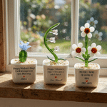 Personalised Adorable Succulent Flower Glass Plants with Name and Text Desk Office Shelf Decor Teachers' Day Birthday Gift for Mom Teacher